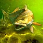 Ícone de My Fishing World
